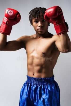 Boxing Gloves MS-3503