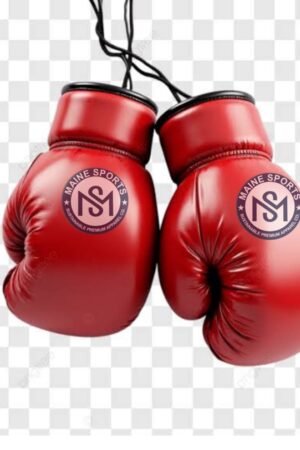 Boxing Gloves MS-3505